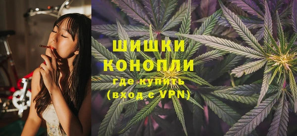 экстази Арсеньев