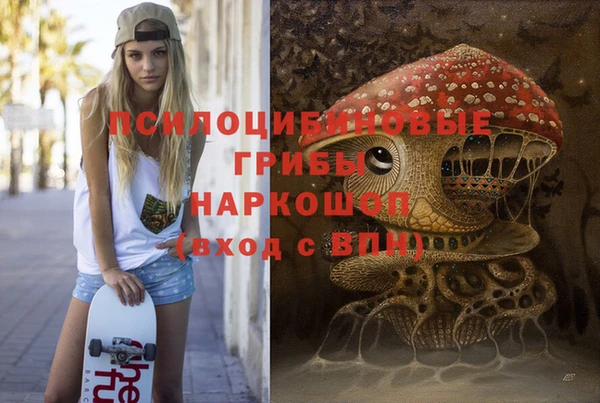 эйфоретик Аркадак
